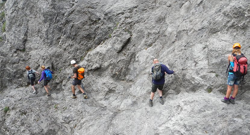 Frans van Stigt Thans